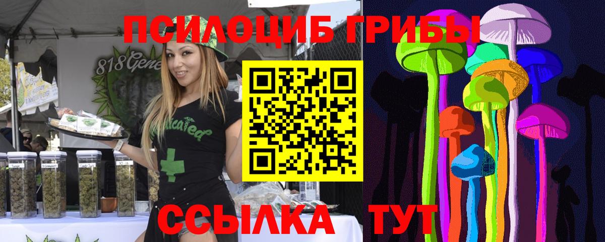 Псилоцибиновые грибы прущие грибы  Вход с VPN  Дмитров 